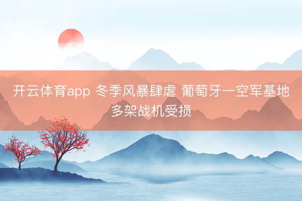 開云體育app 冬季風暴肆虐 葡萄牙一空軍基地多架戰(zhàn)機受損