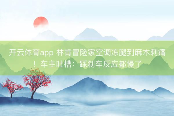 開云體育app 林肯冒險(xiǎn)家空調(diào)凍腿到麻木刺痛！車主吐槽：踩剎車反應(yīng)都慢了