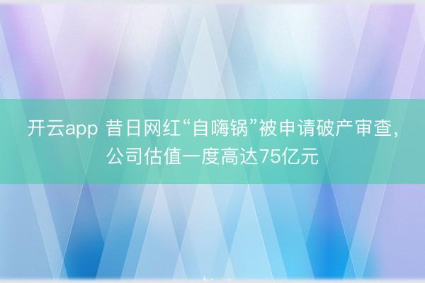開云app 昔日網(wǎng)紅“自嗨鍋”被申請破產(chǎn)審查,公司估值一度高達(dá)75億元