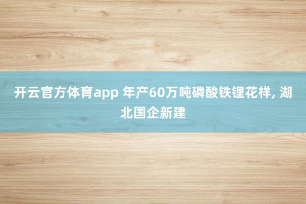 開云官方體育app 年產60萬噸磷酸鐵鋰花樣, 湖北國企新建
