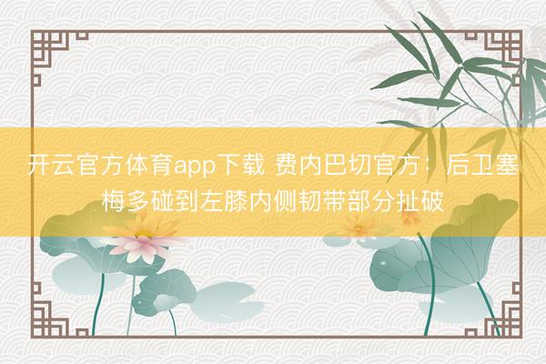 開云官方體育app下載 費內巴切官方:后衛塞梅多碰到左膝內側韌帶部分扯破