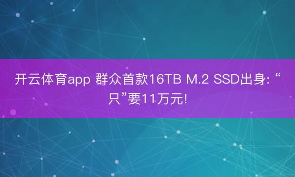 開云體育app 群眾首款16TB M.2 SSD出身: “只”要11萬元!
