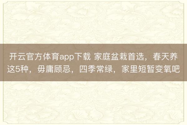 開云官方體育app下載 家庭盆栽首選,春天養這5種,毋庸顧忌,四季常綠,家里短暫變氧吧