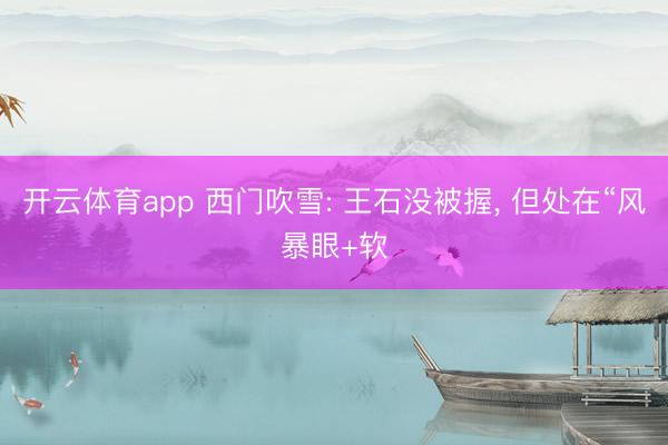 開(kāi)云體育app 西門(mén)吹雪: 王石沒(méi)被握, 但處在“風(fēng)暴眼+軟
