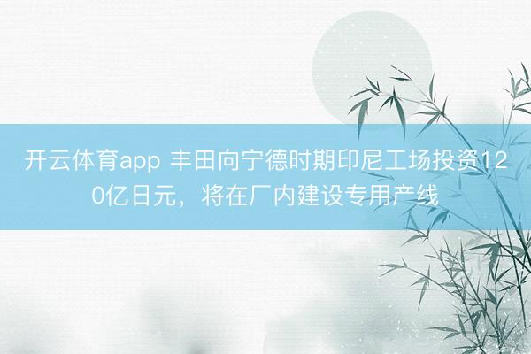 開云體育app 豐田向寧德時期印尼工場投資120億日元，將在廠內建設專用產線
